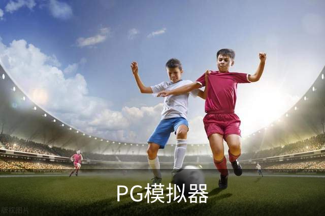 PG模拟器公司介绍图片